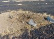 Фермер из Ростовской области получил штраф из-за украинского дрона на поле