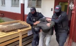 «Выдавали украинские паспорта»: под Тулой взяли преступников, занимавшихся легализацией мигрантов