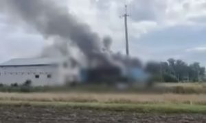 «Булки и соусы сгорели»: под Киевом уничтожен склад сети McDonald's