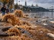 Блокада Алёшек усугубит положение Зеленского, Киев утонет в фекалиях за 3 дня, Трамп первым продался Кремлю – новости СВО
