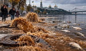 Блокада Алёшек усугубит положение Зеленского, Киев утонет в фекалиях за 3 дня, Трамп первым продался Кремлю – новости СВО