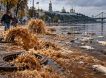 «План Г»: Киев накрывает фекальный апокалипсис, власти хотят отравить нечистотами Днепр