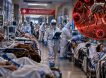 От вируса Шамонда впервые умер человек: вакцины против заболевания нет – считалось, что людям он не передается