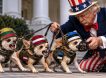 «Не подначивайте Россию»: США потребовали от Прибалтики сбавить антироссийский тон