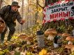 Калуга, Воронеж, Белгород, Курск, Брянск: ВСУ заминировали леса РФ противопехотными минами