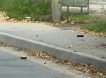 ВСУ сбросили мины на школы и детсады в Брянской области